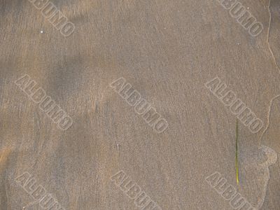 sand background