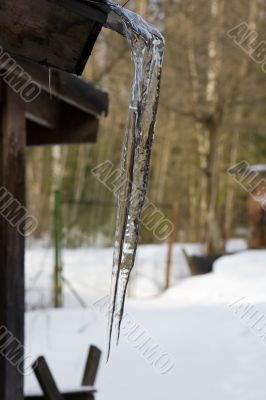 Icicle on a roof