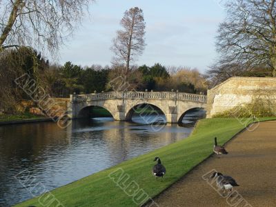 Greylags walk