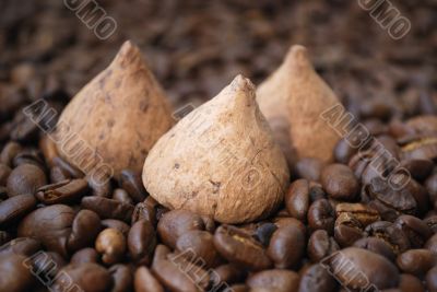chocolate and coffee beans