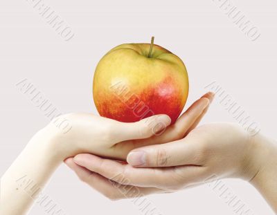 Red apple