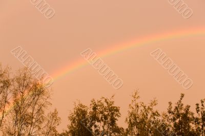 Rainbow