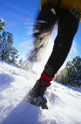Running In the Snow