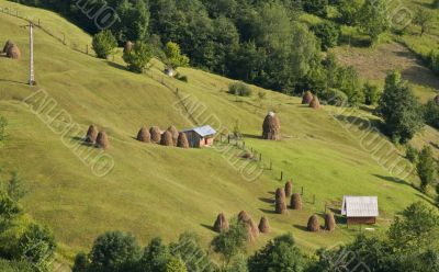 Rural landscape