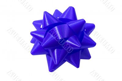 Blue gift bow