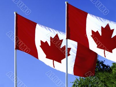 Canadian Flags