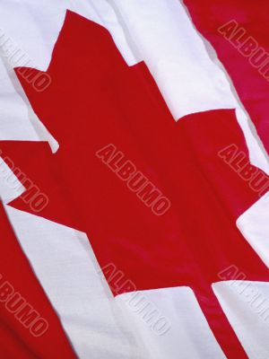 Maple Leaf On Canadian Flag