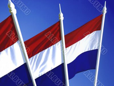 Dutch Flag