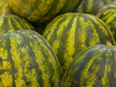 watermelons