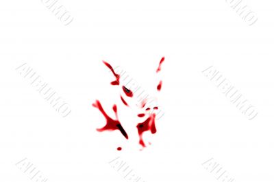 Pig Background