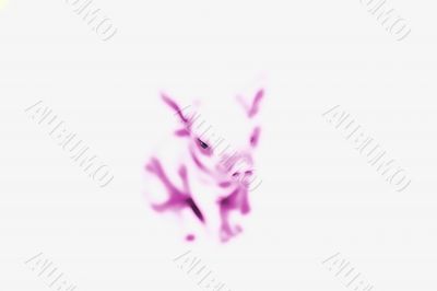 Pig Background