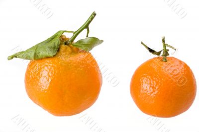 tangerines