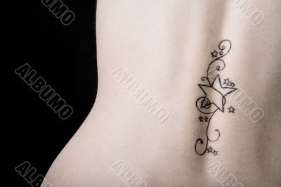 Stars on the back