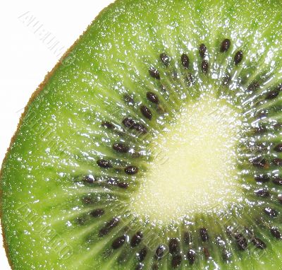 KIwifruit