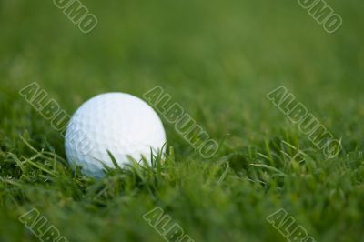 golf ball on the green