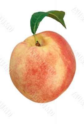 A peach