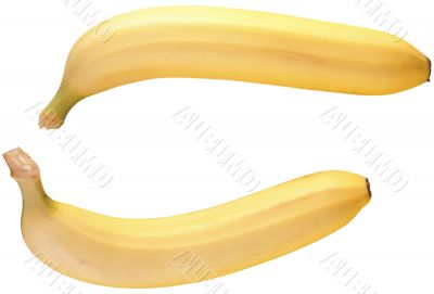 Two bananas