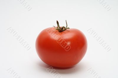 Tomato.