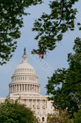 US Capitol