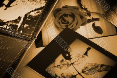 Photo Album
