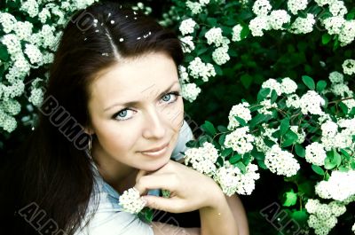 In blooming spring blossom