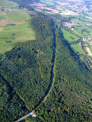 german forest and  road passing through