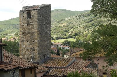 Vicopisano - Tiled roofs and ancient tower