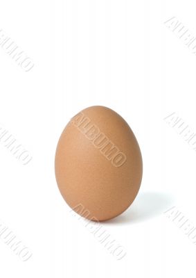 Single brown egg