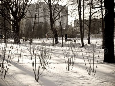 City park winter view