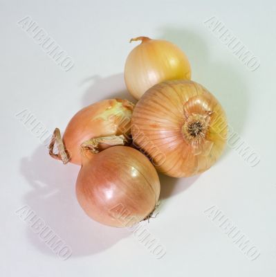 Onions napiform isolated on white
