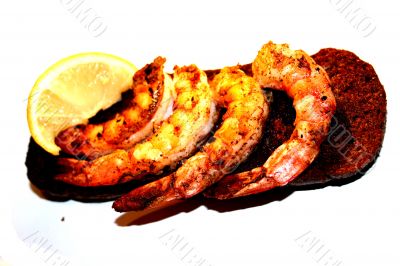 Shrimp