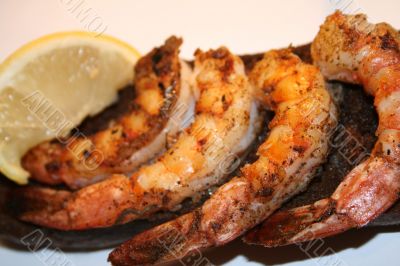 Shrimp