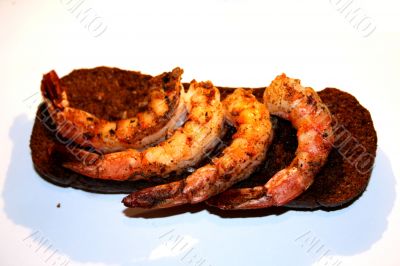 Shrimp