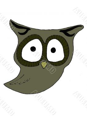 Owl Illustration