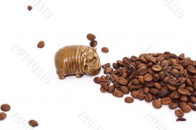 Coffee beans and hippopotamus