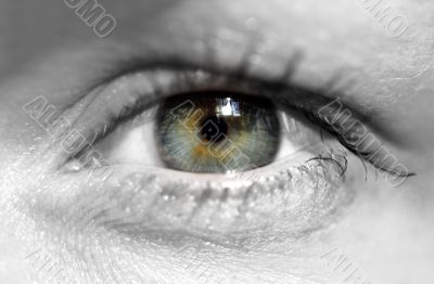 female eye