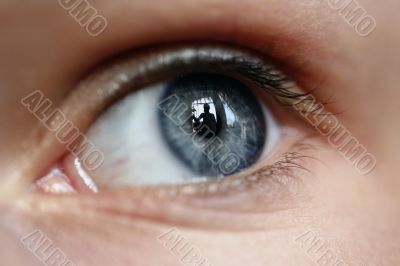 female eye