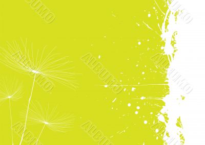 dandelion green
