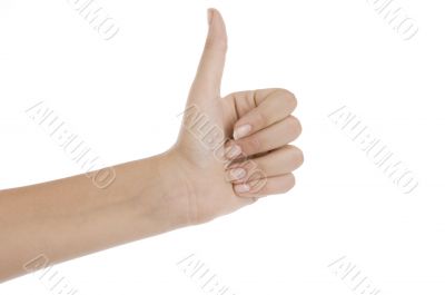hand with thumbs up