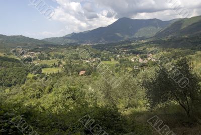 Landscape near Camaiore (Tuscany)