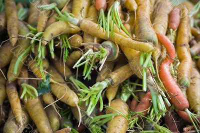 Carrots