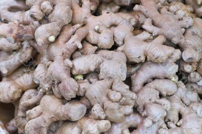 Ginger