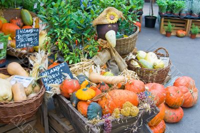 Pumpkins