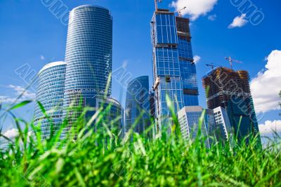 Skyscrapers and grass