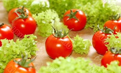 Fresh salad with tomatoes