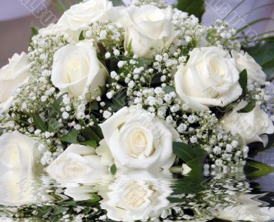 white roses