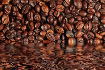 Coffee beans 01