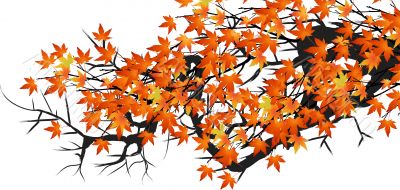 autumn leaves