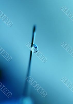 syringe close-up, focus on the drop