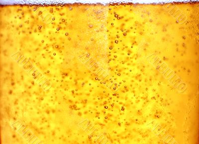 Glass of beer close-up